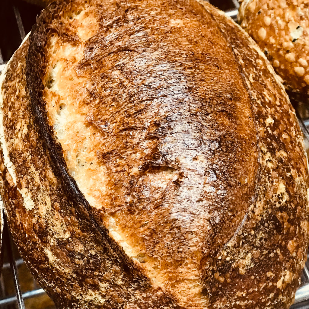 Sourdough country loaves